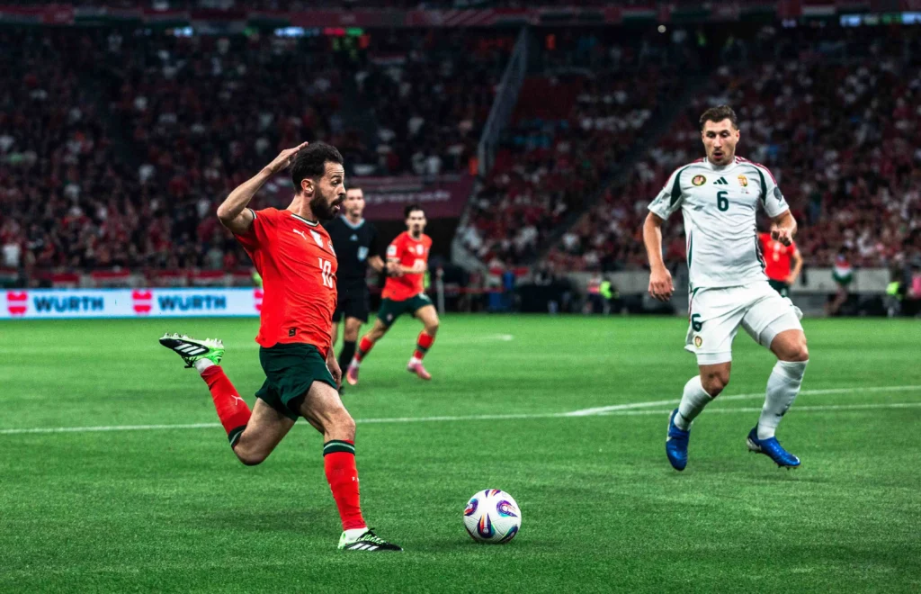 Foci_Magyarország-Portugália_1